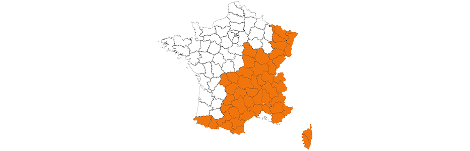Carte de la France où les pneus neige peuvent être obligatoires