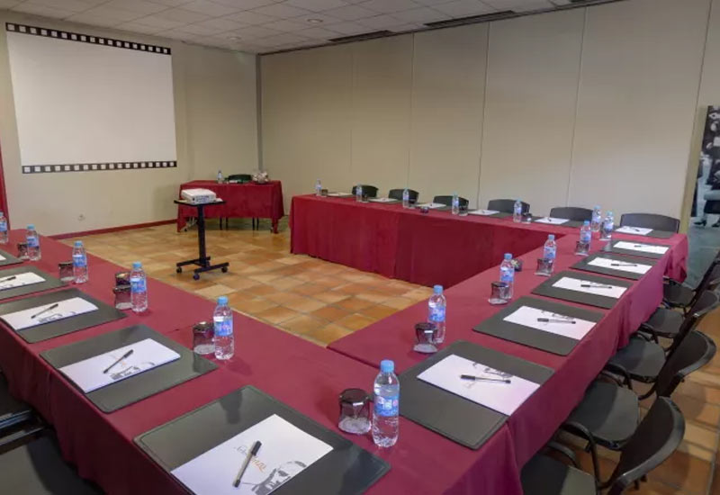 Salle de formation - Hôtel Arles Plaza à Arles
